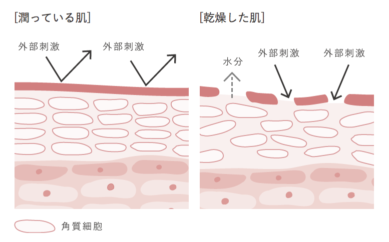 f:id:yurikablog:20180828231928p:plain f:id:yurikablog:20180828231928p:plain
