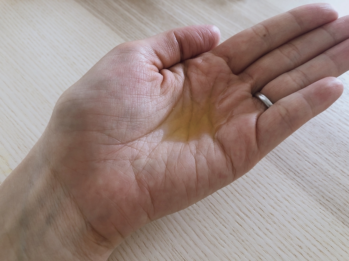 f:id:yurikablog:20191115120117j:plain f:id:yurikablog:20191115120117j:plain