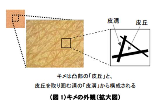 f:id:yurikablog:20220202130144j:plain