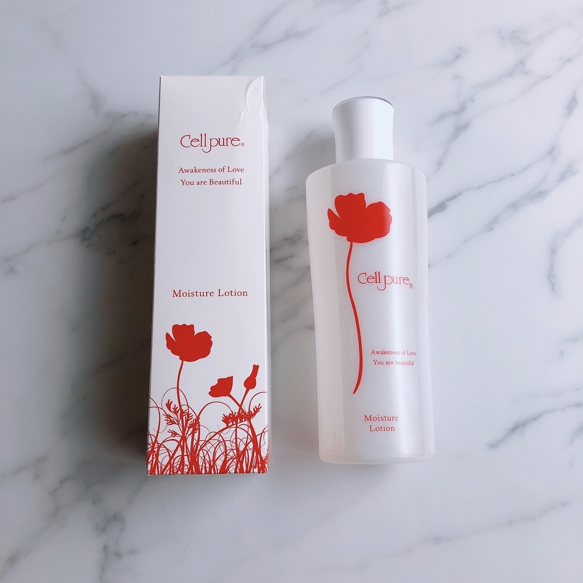 f:id:yurikablog:20220309154040j:plain