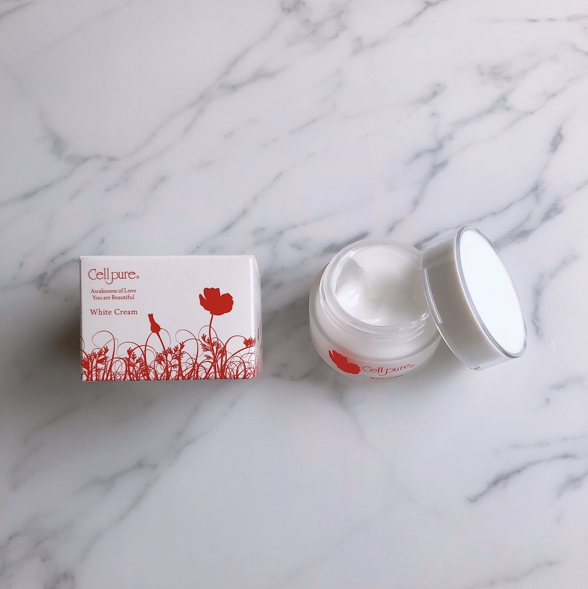 f:id:yurikablog:20220309154454j:plain